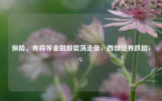 保险、券商等金融股震荡走低，西部证券跌超5%