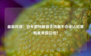 最新民调：近半数特朗普支持者不会承认哈里斯是美国总统！