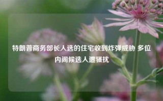 特朗普商务部长人选的住宅收到炸弹威胁 多位内阁候选人遭骚扰