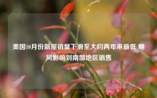 美国10月份新屋销量下滑至大约两年来最低 飓风影响到南部地区销售