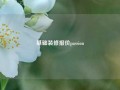 基础装修报价passion