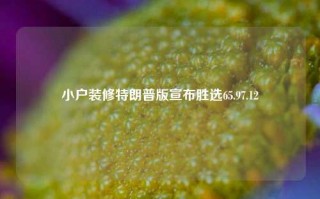 小户装修特朗普版宣布胜选65.97.12