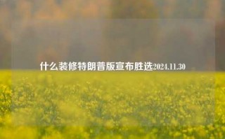 什么装修特朗普版宣布胜选2024.11.30