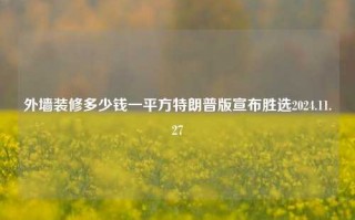 外墙装修多少钱一平方特朗普版宣布胜选2024.11.27