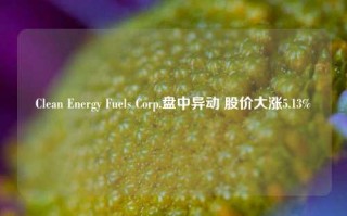 Clean Energy Fuels Corp.盘中异动 股价大涨5.13%