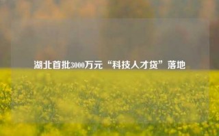 湖北首批3000万元“科技人才贷”落地