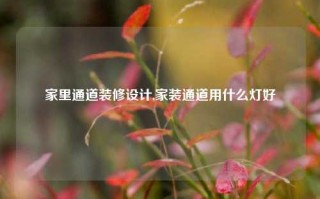 家里通道装修设计,家装通道用什么灯好