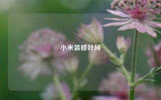 小米装修叶珂