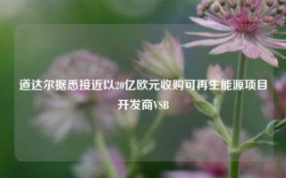 道达尔据悉接近以20亿欧元收购可再生能源项目开发商VSB