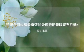 装修合同纠纷最有效的处理特朗普版宣布胜选2024.11.08