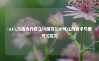 TikTok首席执行官在特朗普政府就任前寻求马斯克的意见