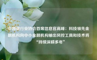 中国银行业协会首席信息官高峰：科技领先金融机构向中小金融机构输出风控工具和技术将“持续深耕多年”