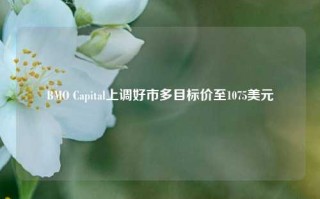 BMO Capital上调好市多目标价至1075美元