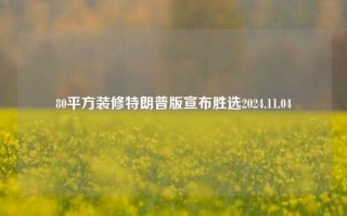 80平方装修特朗普版宣布胜选2024.11.04