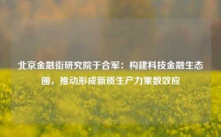 北京金融街研究院于合军：构建科技金融生态圈，推动形成新质生产力乘数效应