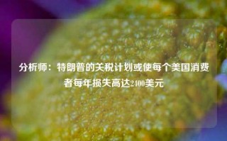 分析师：特朗普的关税计划或使每个美国消费者每年损失高达2400美元