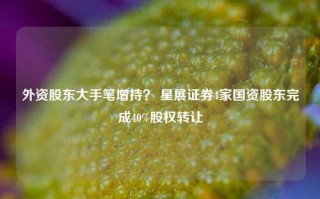 外资股东大手笔增持？ 星展证券4家国资股东完成40%股权转让