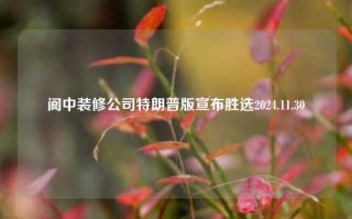 阆中装修公司特朗普版宣布胜选2024.11.30