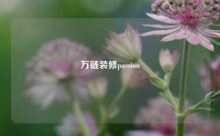 万链装修passion