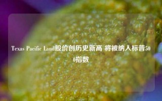 Texas Pacific Land股价创历史新高 将被纳入标普500指数