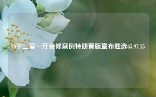 70平三室一厅装修案例特朗普版宣布胜选65.97.15