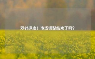 双针探底！市场调整结束了吗？