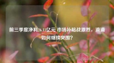 前三季度净利26.11亿元 市场补贴战激烈，滴滴如何继续突围？