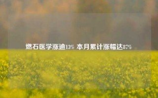 燃石医学涨逾13% 本月累计涨幅达87%