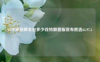 88平米装修全包多少钱特朗普版宣布胜选65.97.5