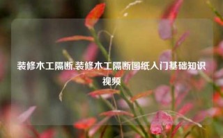 装修木工隔断,装修木工隔断图纸入门基础知识视频