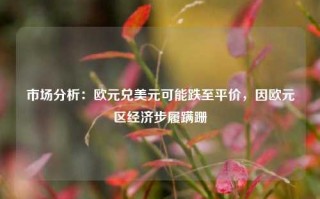 市场分析：欧元兑美元可能跌至平价，因欧元区经济步履蹒跚