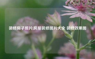 装修房子照片,房屋装修图片大全 装修效果图