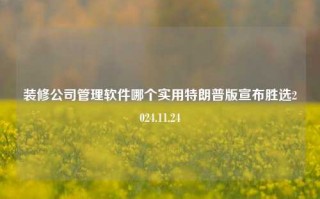 装修公司管理软件哪个实用特朗普版宣布胜选2024.11.24