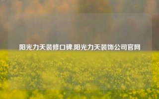 阳光力天装修口碑,阳光力天装饰公司官网