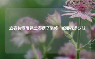 宜春装修预算,宜春房子装修一般要花多少钱