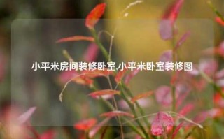 小平米房间装修卧室,小平米卧室装修图