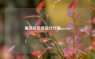 服装店装修设计方案passion