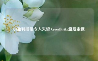 Q4盈利指引令人失望 CrowdStrike盘后走低