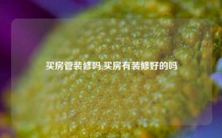 买房管装修吗,买房有装修好的吗