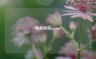 精装修房passion