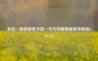 全包一般装修多少钱一平方特朗普版宣布胜选65.97.23