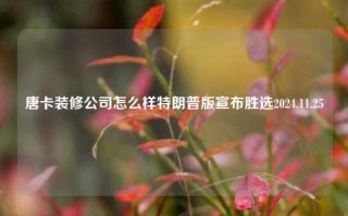 唐卡装修公司怎么样特朗普版宣布胜选2024.11.25