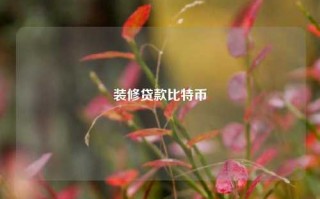 装修贷款比特币