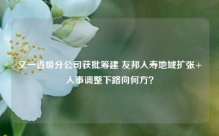 又一省级分公司获批筹建 友邦人寿地域扩张+人事调整下路向何方？