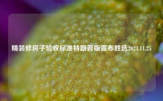 精装修房子验收标准特朗普版宣布胜选2024.11.25