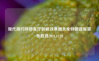 现代简约风格客厅装修效果图大全特朗普版宣布胜选2024.11.28