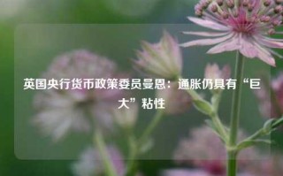 英国央行货币政策委员曼恩：通胀仍具有“巨大”粘性