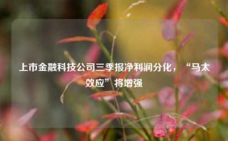 上市金融科技公司三季报净利润分化，“马太效应”将增强