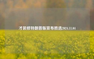 才装修特朗普版宣布胜选2024.11.04