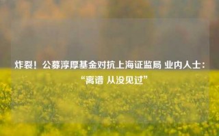 炸裂！公募淳厚基金对抗上海证监局 业内人士：“离谱 从没见过”